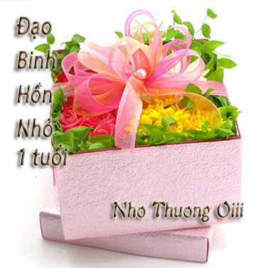 Dao Binh Hon Nho - Sinh Nhat 1 Nam - Nho Thuong Oi